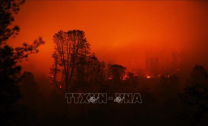 Lửa cháy rừng bốc ngùn ngụt tại Oroville, bang California (Mỹ) ngày 13/11/2018. Ảnh: THX/TTXVN