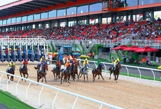 Trường đua ngựa hơn 400 triệu USD sẽ được xây dựng tại xã Tân Minh, huyện Sóc Sơn
