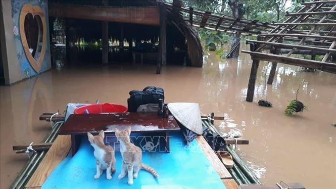 Đến sáng 9/8/2019, nước lũ từ thượng nguồn sông Đồng Nai đổ về nhanh, cùng với mưa lớn từ đêm 8/8 đã khiến cho nhiều xã thuộc hai huyện Tân Phú và Định Quán (Đồng Nai) bị ngập nặng.