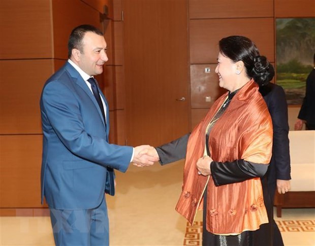 Chủ tịch Quốc hội Nguyễn Thị Kim Ngân tiếp Phó Chủ tịch Quốc hội Armenia, Vahe Enfiajyan. (Ảnh: Trọng Đức/TTXVN)