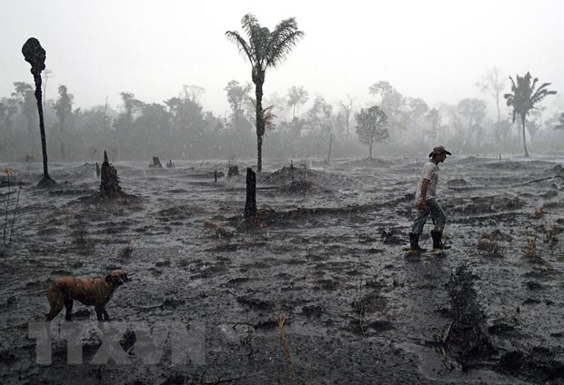 Khu vực rừng Amazon bị phá hủy do hỏa hoạn ở gần Porto Velho, bang Rondonia, Brazil ngày 26/8/2019. (Nguồn: AFP/TTXVN)