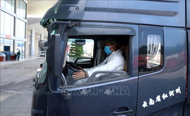 Các lái xe chuyên biệt người Việt Nam điều khiển xe hàng nhập khẩu vào Việt Nam qua Cửa khẩu Kim Thành. Ảnh: Quốc Khánh - TTXVN