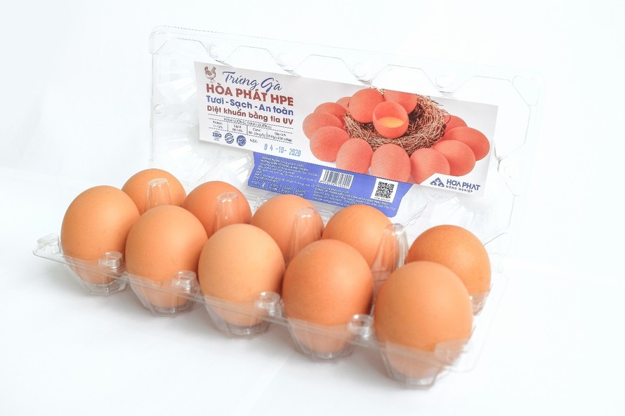 Hòa Phát ‘làm chủ’ thị trường trứng gà miền Bắc với gần 550.000 quả trứng sạch mỗi ngày