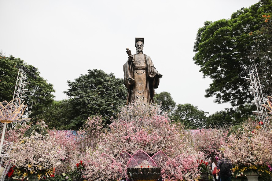 Người dân nô nức thưởng lãm hoa anh đào Nhật Bản nở rộ bên hồ Hoàn Kiếm