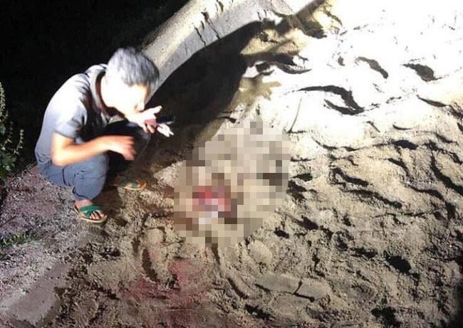 Hiện trường nơi bé trai khoảng 7 tuổi bị đàn chó gần 10 con của chủ nhà trọ cắn tử vong ở Hưng Yên. 