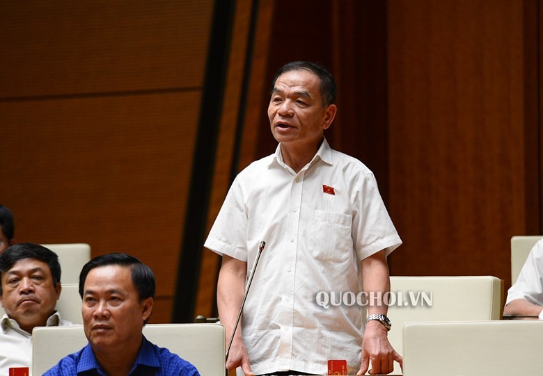 Đại biểu Quốc hội Lê Thanh Vân. (Ảnh: Quochoi.vn) 