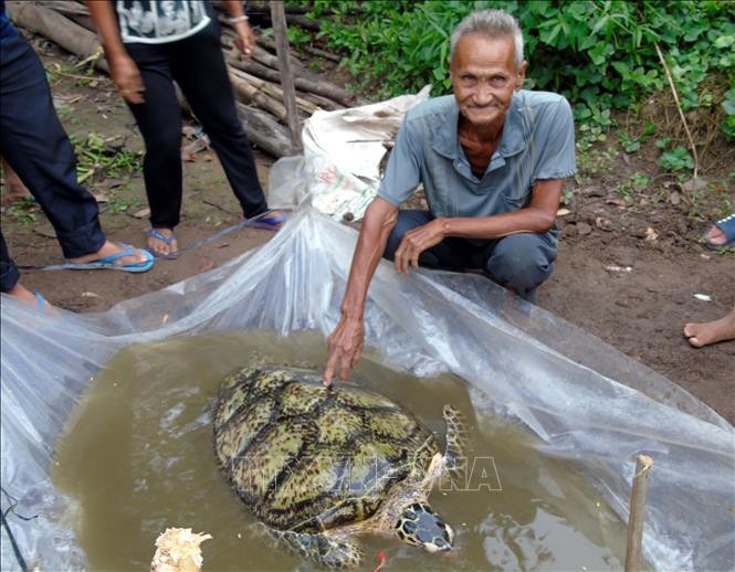 Ông Huỳnh Chánh và con rùa biển 34 kg bắt được trước sông nhà.