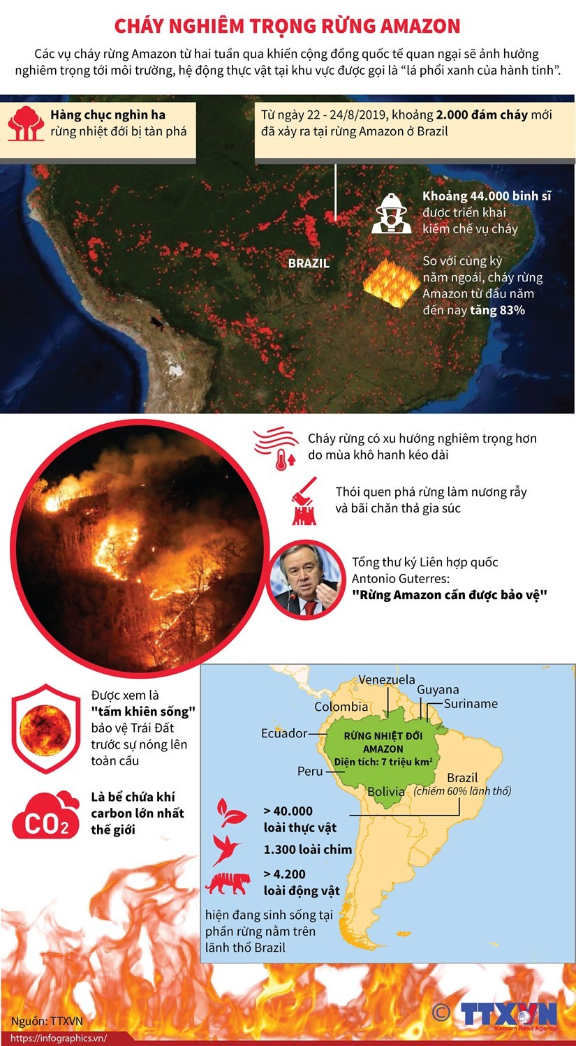 Cháy rừng Amazon ngày càng diễn ra nghiêm trọng và lan rộng hơn