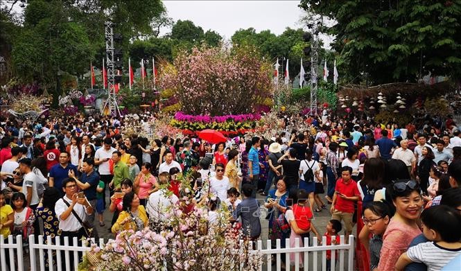 Người dân và du khách tham quan, thưởng lãm hoa anh đào tại không gian lễ hội trong ngày 31/3/2019. Ảnh: Thanh Tùng/TTXVN