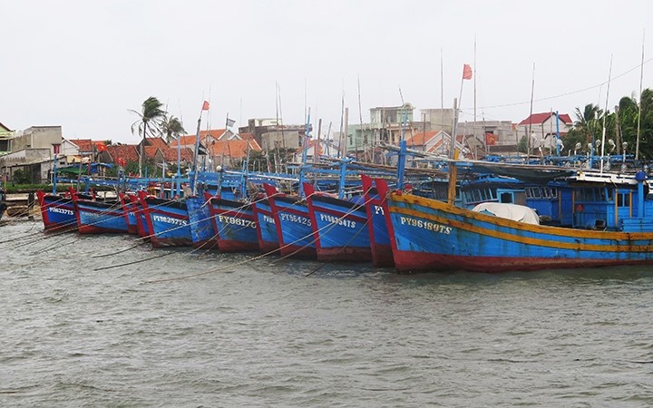Tàu thuyền neo đậu tránh bão tại cảng cá Đông Tác, phường Phú Đông, TP Tuy Hòa (Phú Yên). Ảnh: PHẠM CƯỜNG (TTXVN)