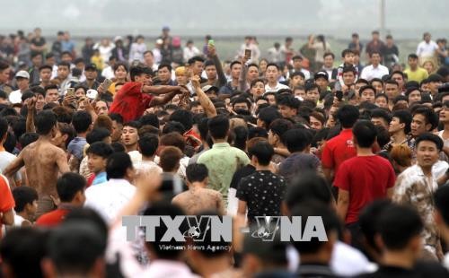 Màn cướp phết tại lễ hội phết Hiền Quan năm 2019. Ảnh: Trung Kiên/TTXVN