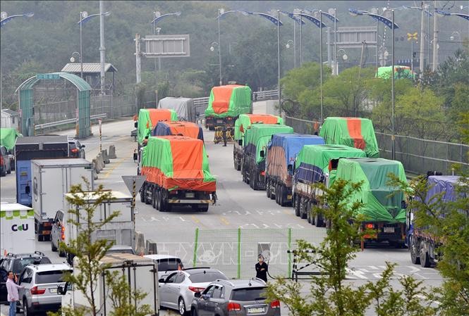 Đoàn xe chở lương thực viện trợ của Hàn Quốc tới Triều Tiên di chuyển qua khu vực cửa khẩu ở Paju (Hàn Quốc). Ảnh tư liệu: AFP/TTXVN