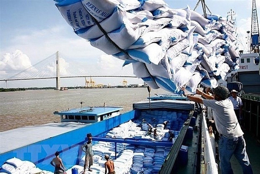 Cân đối khoảng 800 nghìn tấn gạo cho xuất khẩu tới tháng 5