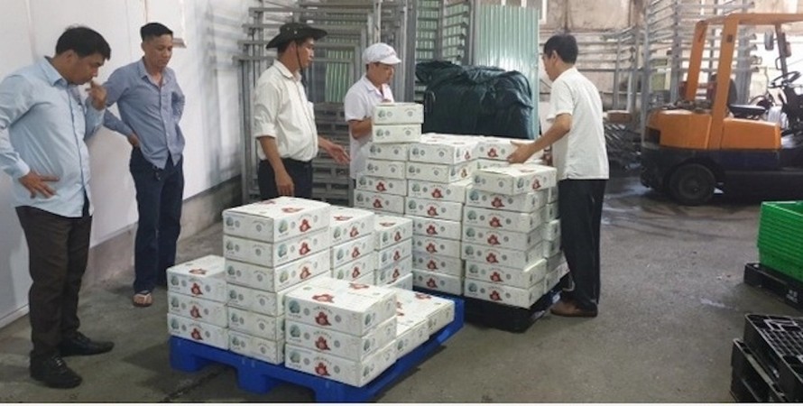 Lô hàng 2 tấn vải thiều tươi của Việt Nam thuộc tỉnh Bắc Giang đã tới Nhật Bản an toàn trong ngày hôm nay 20/6.
