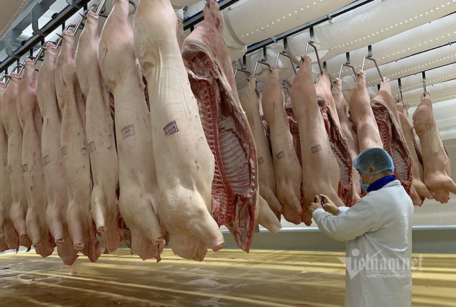 Giá thịt lợn tại chợ đầu mối, trên thị trường bán lẻ cũng dần hạ nhiệt