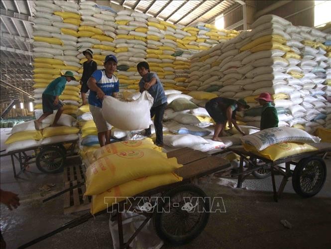 Chuẩn bị nguồn hàng gạo xuất khẩu tại Công ty Lương thực sông Hậu (Tổng công ty Lương thực miền Nam). Ảnh: Vũ Sinh/TTXVN