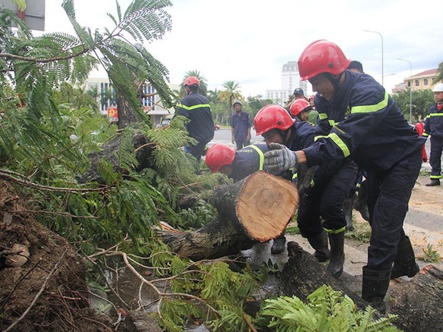 Bão số 5 khiến các tỉnh Nghệ An, Hà Tĩnh, Quảng Bình, Quảng Trị, Thừa Thiên-Huế bị thiệt hại nặng.