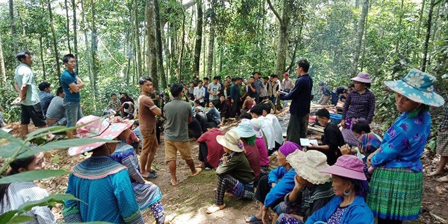 Lễ cúng rừng ở Lào Cai: Lời thề bảo vệ thiên nhiên