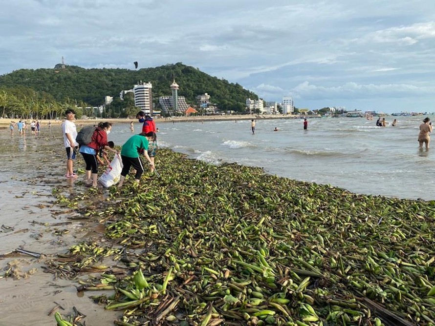 Nhiều ngày qua, một lượng lớn rác từ ngoài biển đã tràn vào các bãi biển của TP. Vũng Tàu gây ảnh hưởng tới cảnh quan, vệ sinh môi trường, đặc biệt là tại các bãi tắm và chưa có dấu hiệu dừng lại.