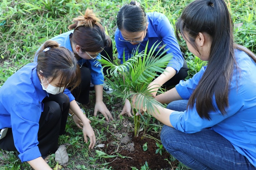 Bộ Giáo dục và Đào tạo đề nghị các đơn vị tham gia trồng cây xanh tại địa phương, trong khuôn viên trường học, bảo đảm thiết thực, hiệu quả, không phô trương, hình thức; thực hiện tốt công tác chăm sóc, bảo vệ cây trồng và diện tích trồng hiện có. 