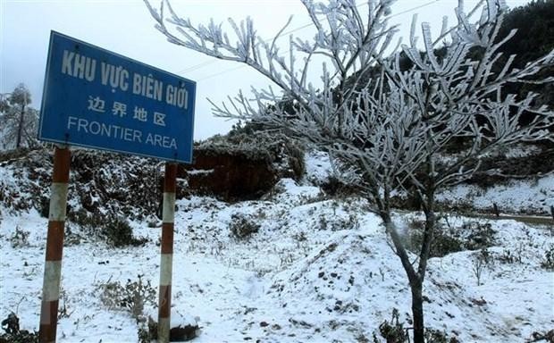 Tuyết rơi phủ trắng cành cây tại xã Y Tý, huyện Bát Xát, tỉnh Lào Cai. (Ảnh: Quốc Khánh/TTXVN)