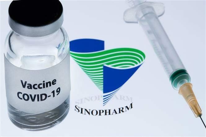Vaccine ngừa COVID-19 do công ty Sinopharm của Trung Quốc sản xuất. Ảnh: AFP/TTXVN