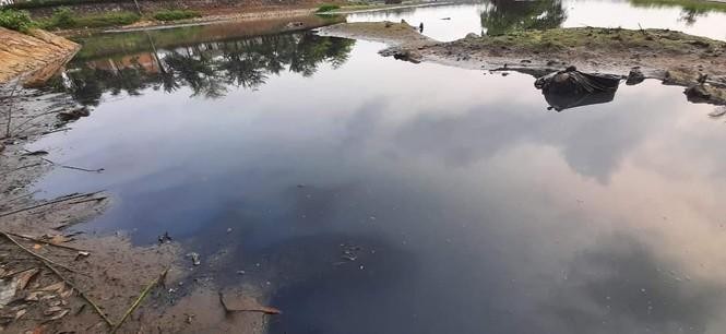 Tình trạng ô nhiễm nghiêm trọng tại hồ điều hoà Vinh Tân. (Ảnh: Tiền Phong)