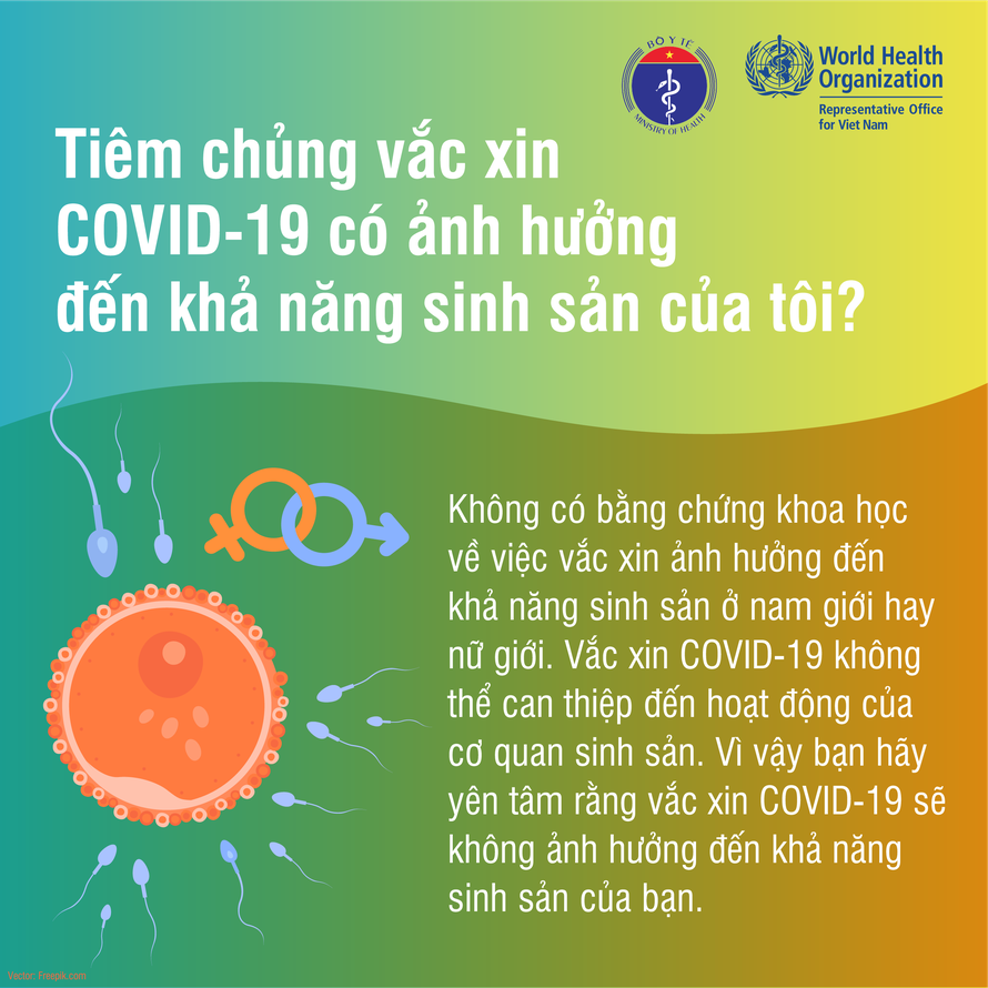 Vaccine COVID-19 không ảnh hưởng tới khả năng sinh sản 