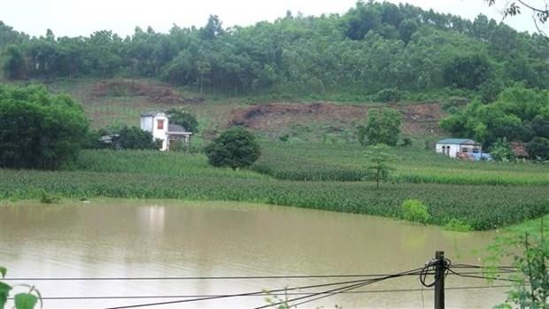 Hơn 540 ha diện tích cây trồng tại Tuyên Quang bị ảnh do mưa lớn trên diện rộng. (Ảnh: Nam Sương/TTXVN)