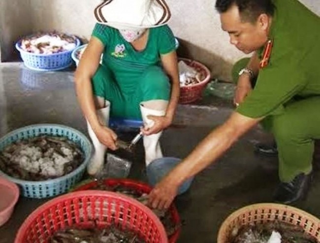 Phát hiện cơ sở bơm chất lạ biến tôm ươn thành tôm đỏ ở Huế