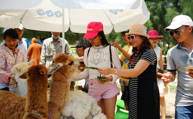 FLC Zoo Safari thu hút hàng ngàn lượt khách