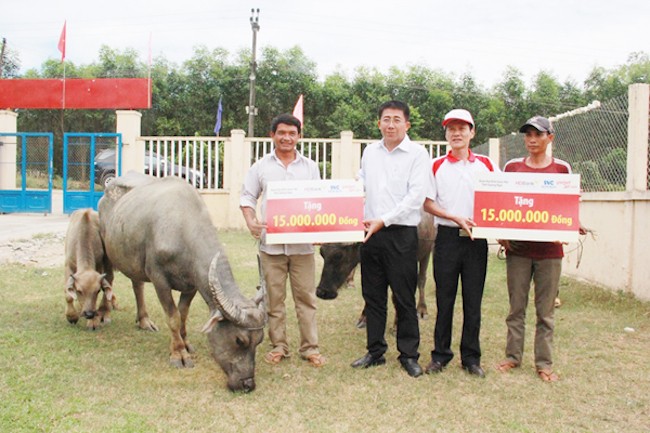 HDBank tặng trâu bò giống cho bà con nghèo Quảng Ngãi