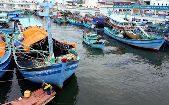 Tàu cá cập bờ tránh áp thấp nhiệt đới ở sôngDương Đông, Phú Quốc. Ảnh:Cửu Long.