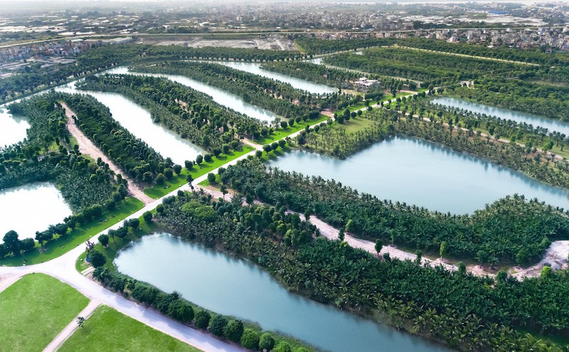 Ecopark Grand đã hoàn thiện phần quy hoạch và trồng phủ cây xanh