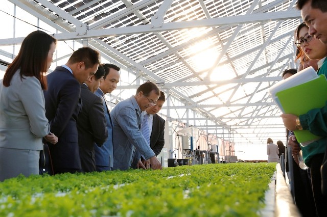 Lãnh đạo Tập đoàn FLC xem xét mô hình trang trại nông nghiệp cao của Farmdo tại Nhật Bản