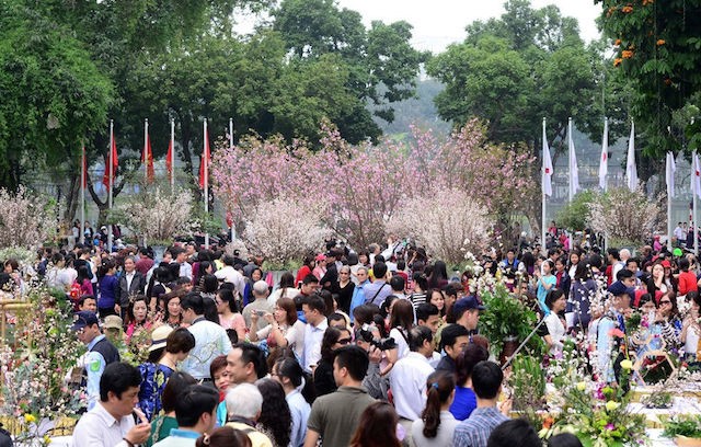 Lễ hội hoa anh đào năm 2017 đã thu hút hàng vạn lượt người tham quan, thưởng lãm