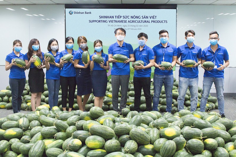 Toàn bộ dưa hấu thu mua được tặng lại cho gần 3.300 nhân viên của Ngân hàng Shinhan tại tất cả các chi nhánh và phòng giao dịch trên cả nước.