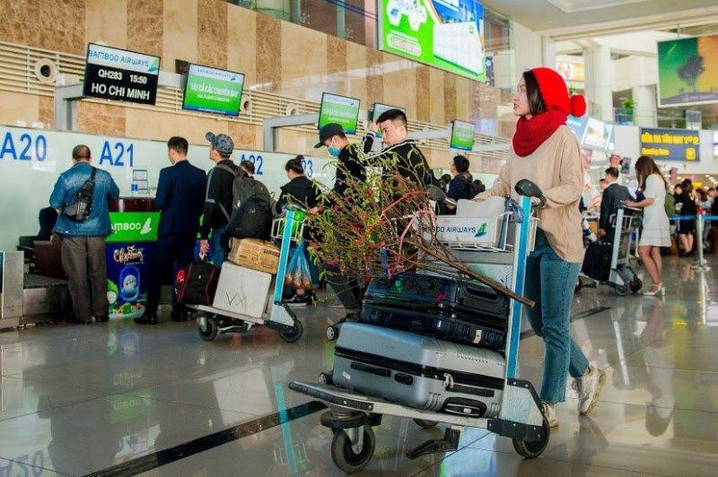 Bamboo Airways triển khai vận chuyển cành đào, mai dịp Tết Tân Sửu 2021