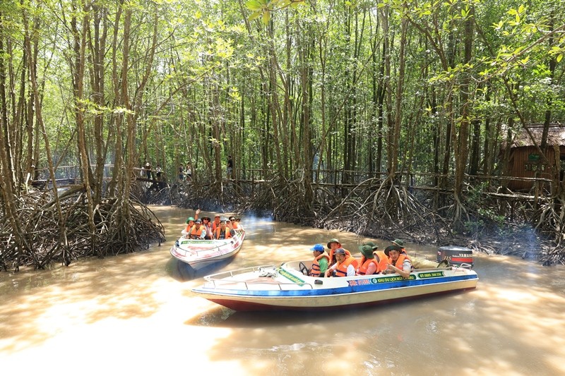 Đoàn trải nghiệm du lịch xuyên rừng tại VQG Mũi Cà Mau.