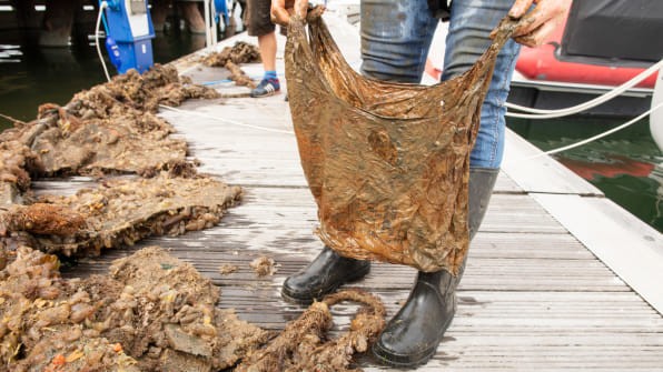Túi 'phân hủy sinh học' sau 3 năm dưới đất vẫn có thể sử dụng