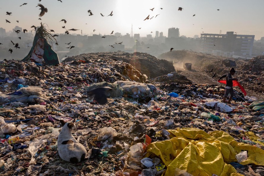 Rác thải nhựa đang trở thành mối đe dọa nghiêm trọng thứ hai đối với loài người, chỉ sau biến đổi khí hậu.
