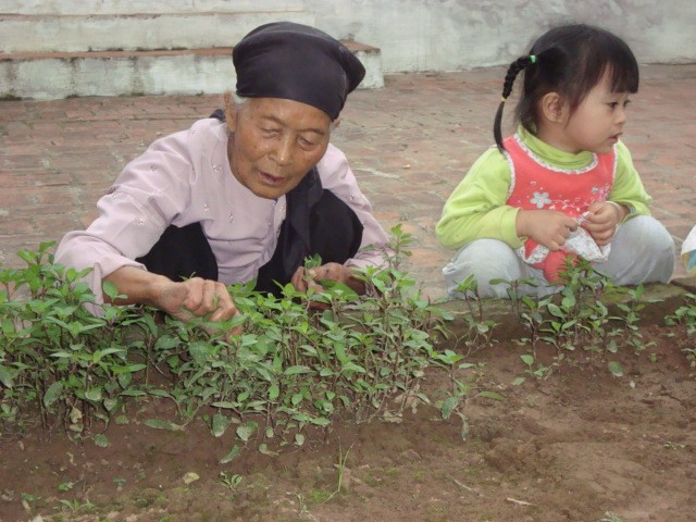 Việt Nam sẽ có dân số “siêu già” vào năm 2050 (ảnh H.D)