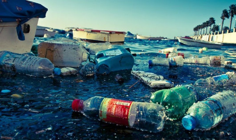 Nhựa đang dần 'xâm chiếm' hành tinh chúng ta