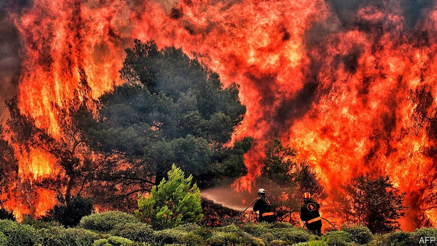 Cháy rừng diễn ra ngày càng nhiều. Ảnh: AFP