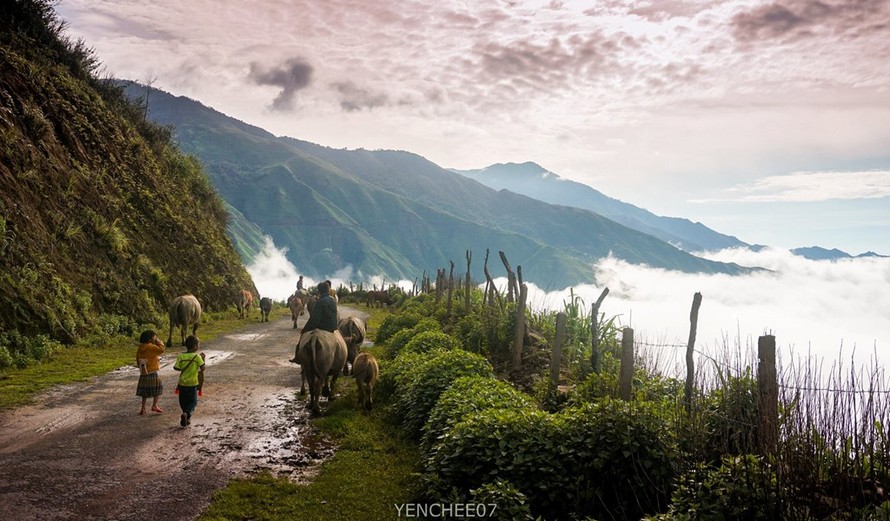 Con đường từ thị trấn Bắc Yên lên Tà Xùa dài 13 km. Trên đường, bạn có thể ngắm được toàn cảnh thị trấn Bắc Yên ẩn hiện trong những đám mây lơ lửng vắt qua núi. Ảnh: Hai Yen Chu