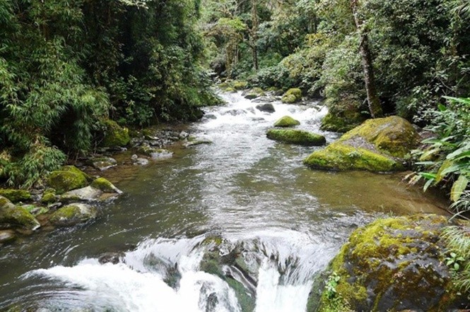 Quần thể rừng, sông và thác nước trong Khu dự trữ sinh quyển Savegre