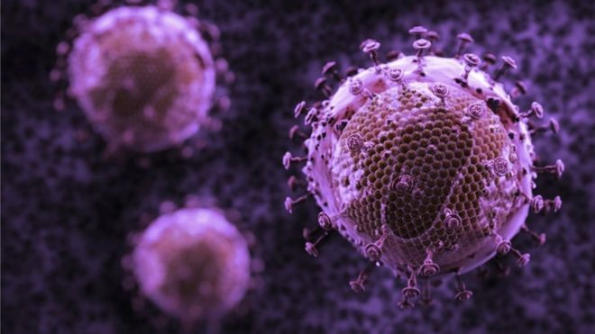 Bộ ba kháng thể mới có thể tiêu diệt 99% virus HIV ở khỉ. Ảnh: BBC.
