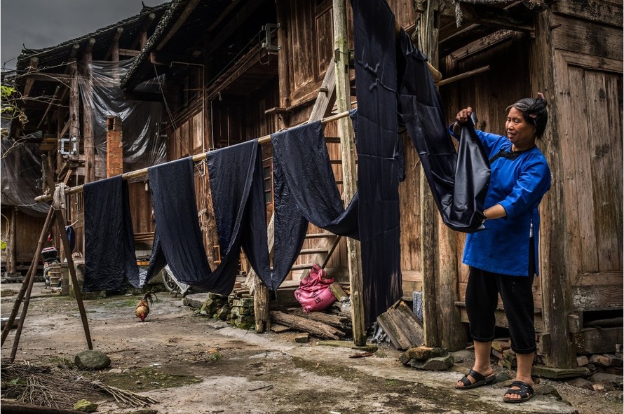 Bà Yang treo những tấm vải mới nhúng thuốc nhuộm lên sào để phơi khô. (Nguồn: NYTimes)