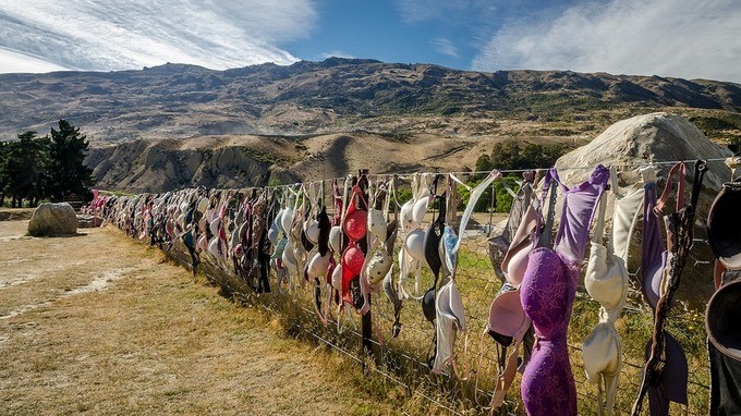 Hàng rào là Cardrona Bra ở trung tâm Otago, được hình thành khi bốn cô gái ăn mừng Giáng sinh bằng cách cởi nội y, treo lên hàng rào vào năm 1999. Sau đó nhiều phụ nữ bắt chước theo khiến số lượng áo ngực ngày càng tăng