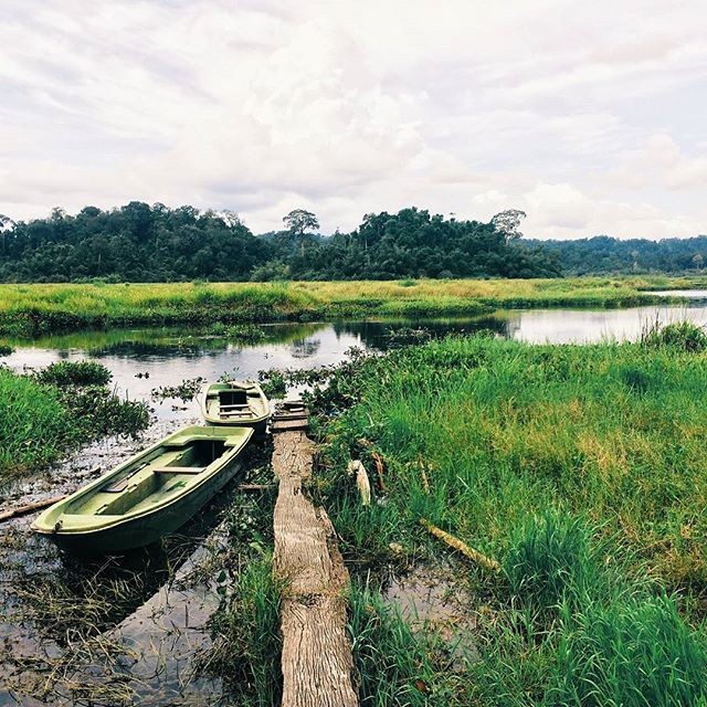Khám phá đầm lầy nhiều cá sấu nhất Đông Nam Bộ